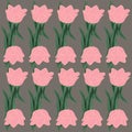 flower tulip spring vector nature tulips flowers floral illustration pink pattern plant card Royalty Free Stock Photo